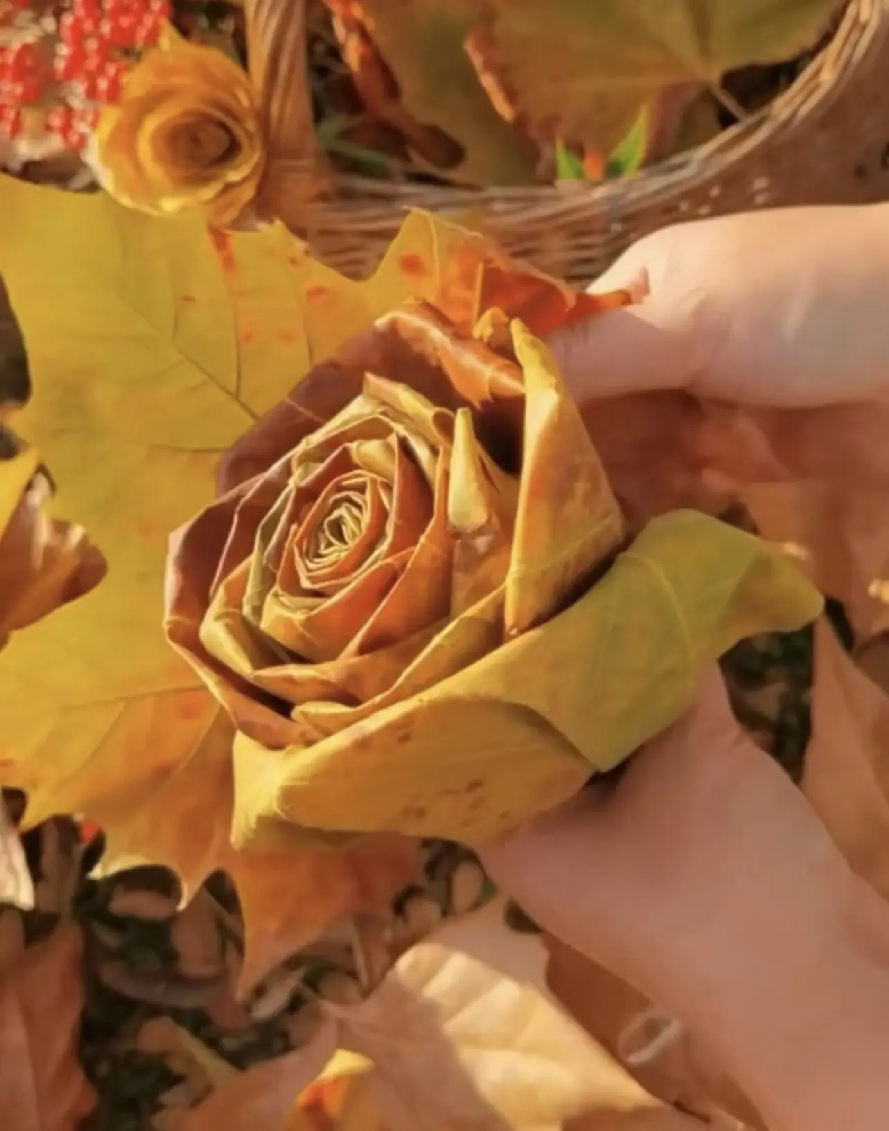 Розочка из листьев🍁