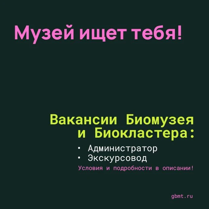 Работа в музее — это мечта, при этом исполнимая!