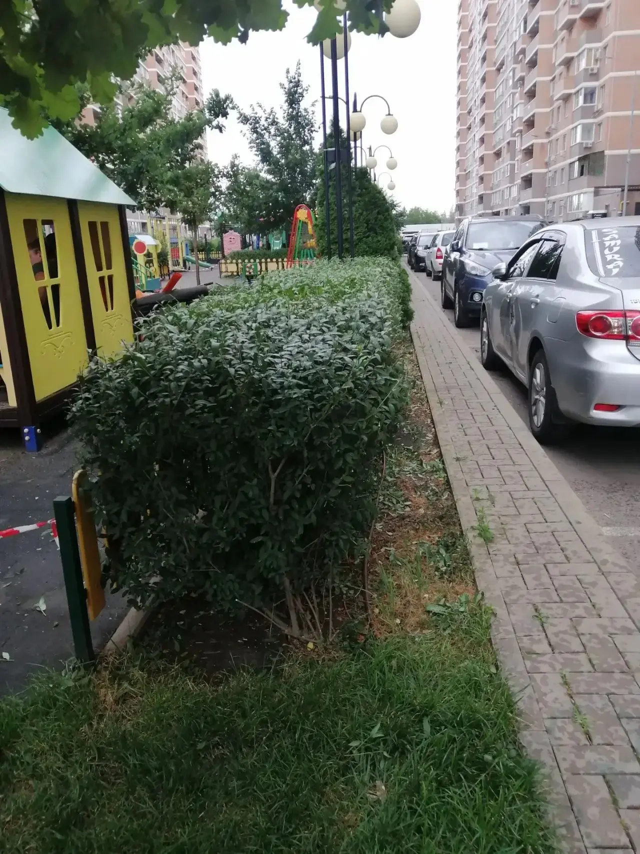 Держим в курсе

📍 На Красных Партизан 2

На территории жилого комплекса идут работы по обрезке деко