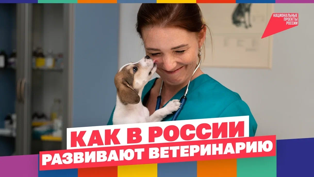 Главные защитники пушистых пациентов 🐾