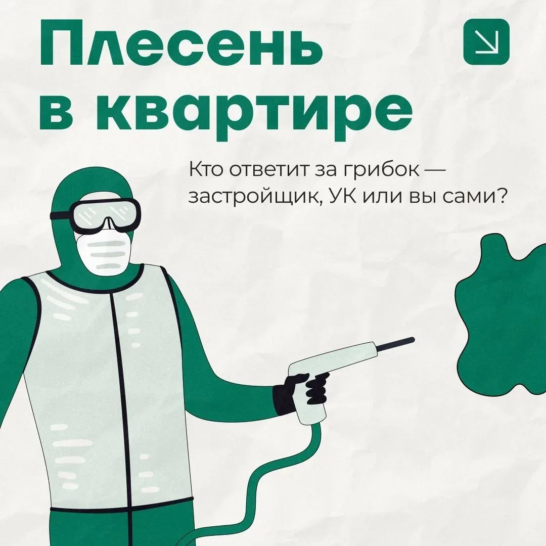 🧫 Плесень на стенах — это не просто испорченный ремонт, а серьезный вред здоровью