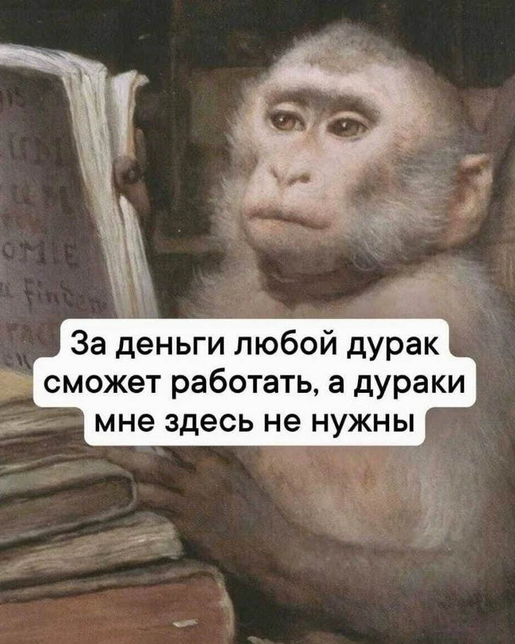 Hа Дону включили службу занятости в Минтруд. Тeперь это одно вeдомство.