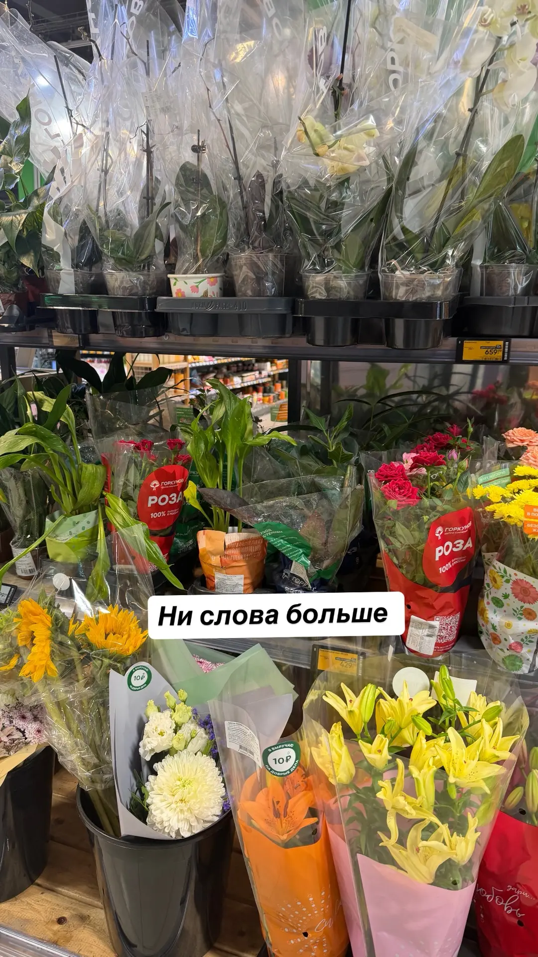 Улов из Перекрестка, кактус 189 рублей))