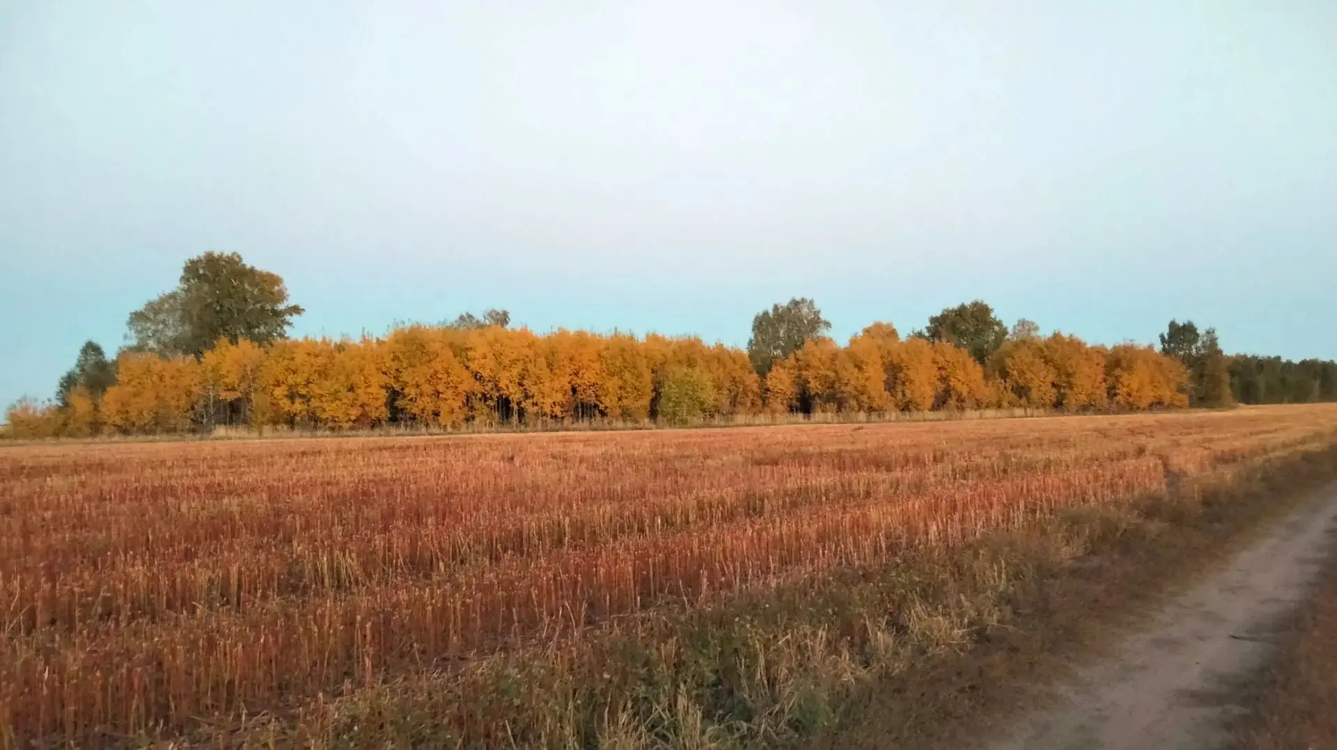 Целинный муниципальный округ, мероприятия в рамках постоянного рейда в ночь на 29 сентя...