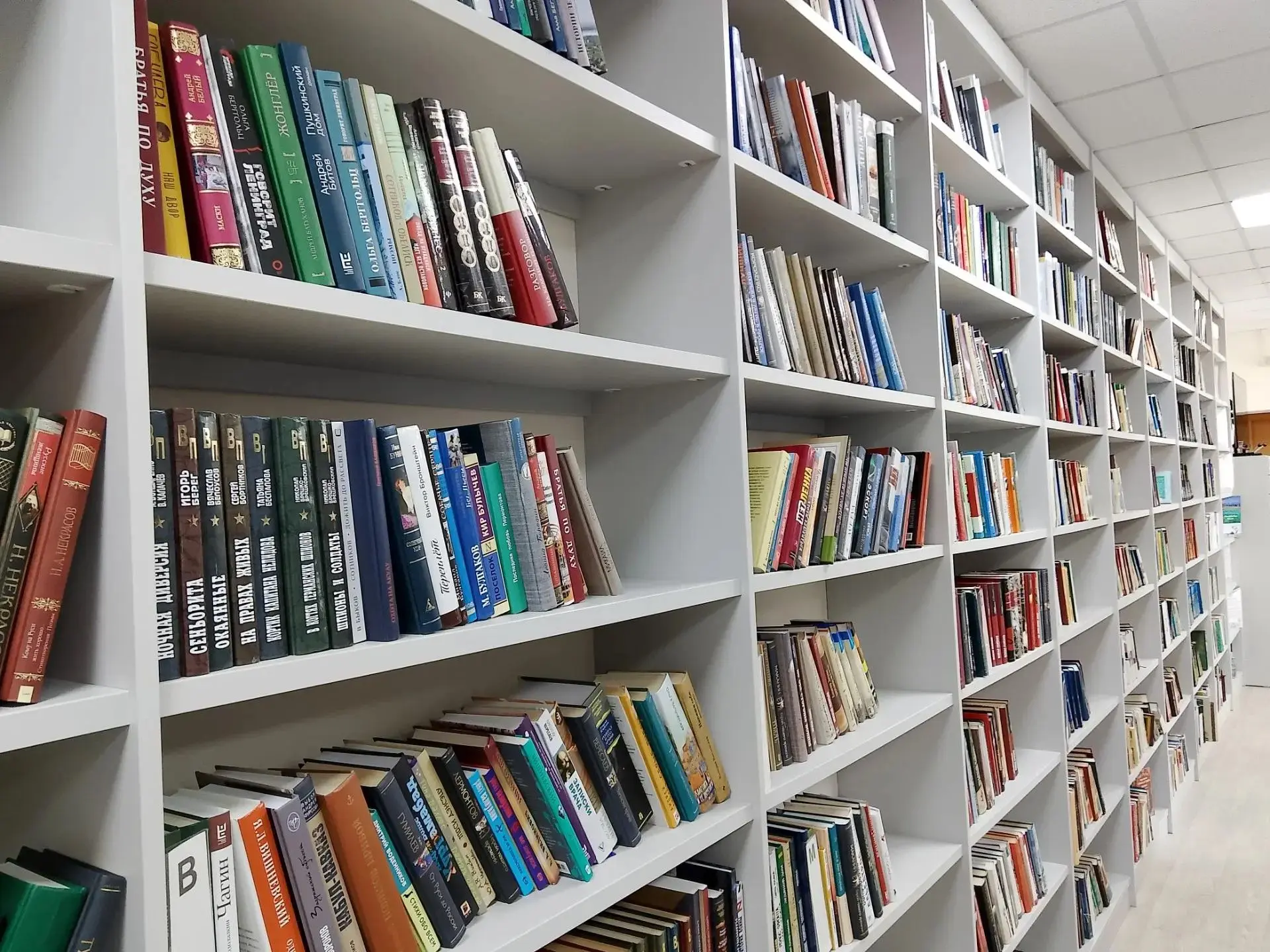 🤔 Как новые книги попадают в фонд библиотеки: путь от заявки до полки