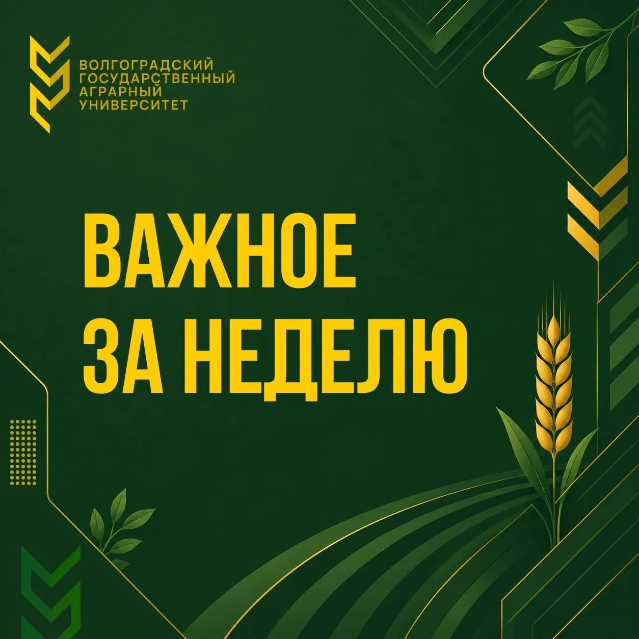 📅 Важное за неделю: главные события с 20 по 25 июля в одном посте

Друзья, неделя выдалась насыщенн