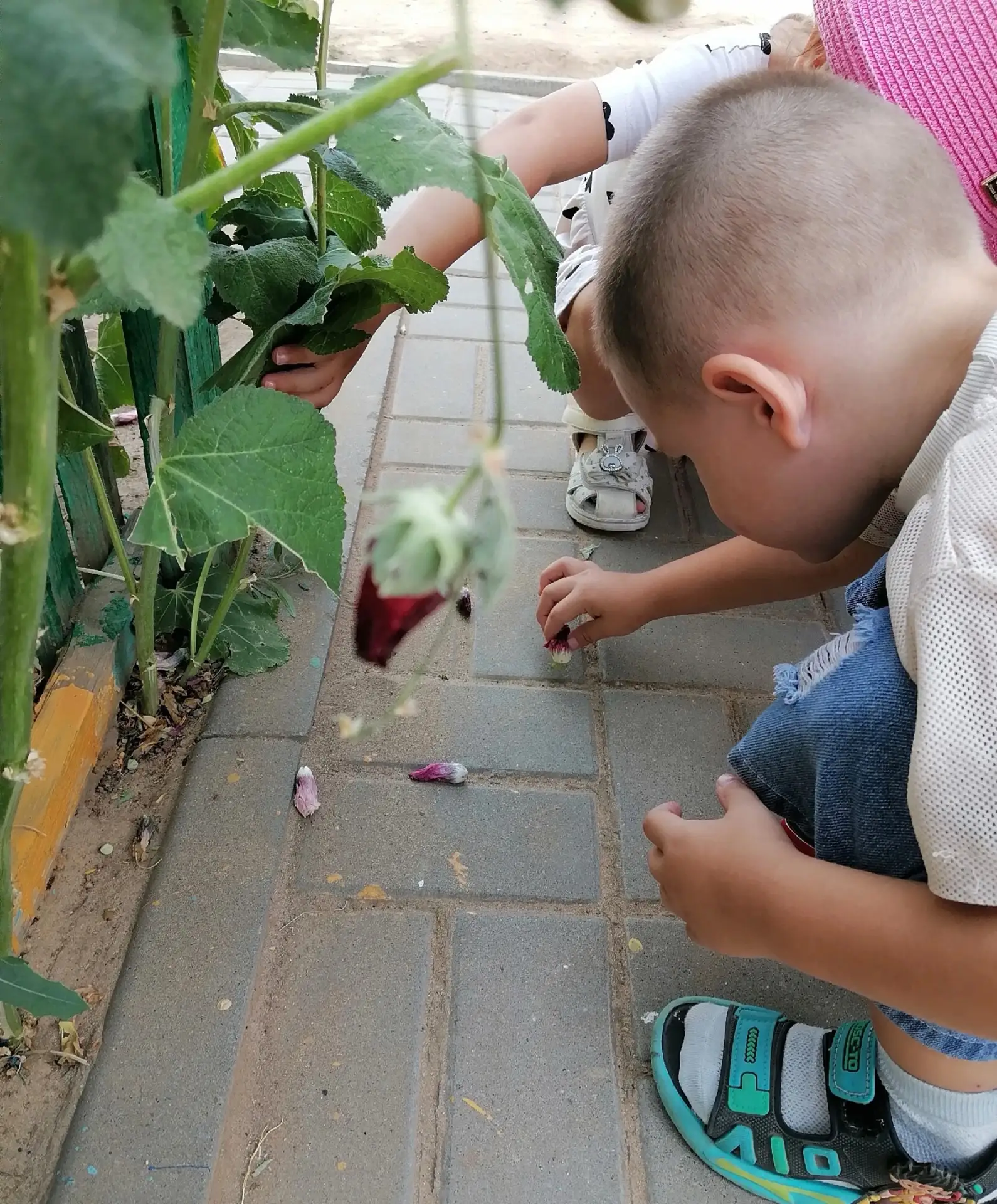 ☀️ Вот оно какое, наше лето! ☀️

Вот оно какое, наше лето,
Лето яркой зеленью одето,
Лето жарким сол
