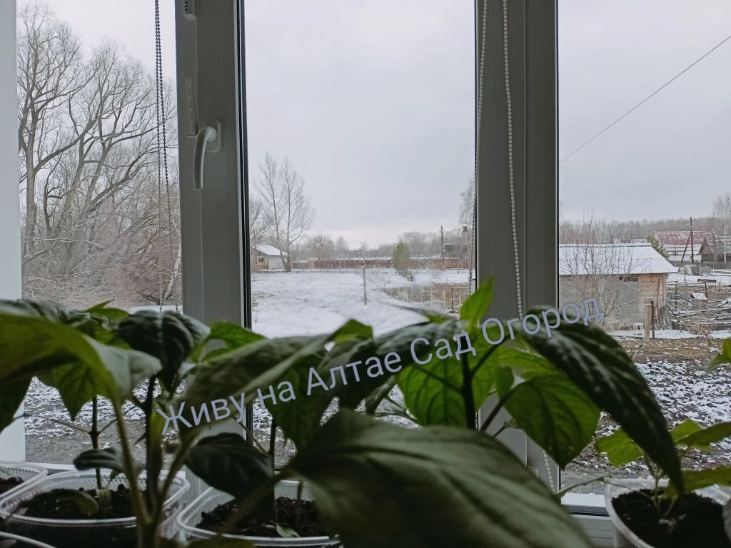 ❄️У нас вернулась зима!