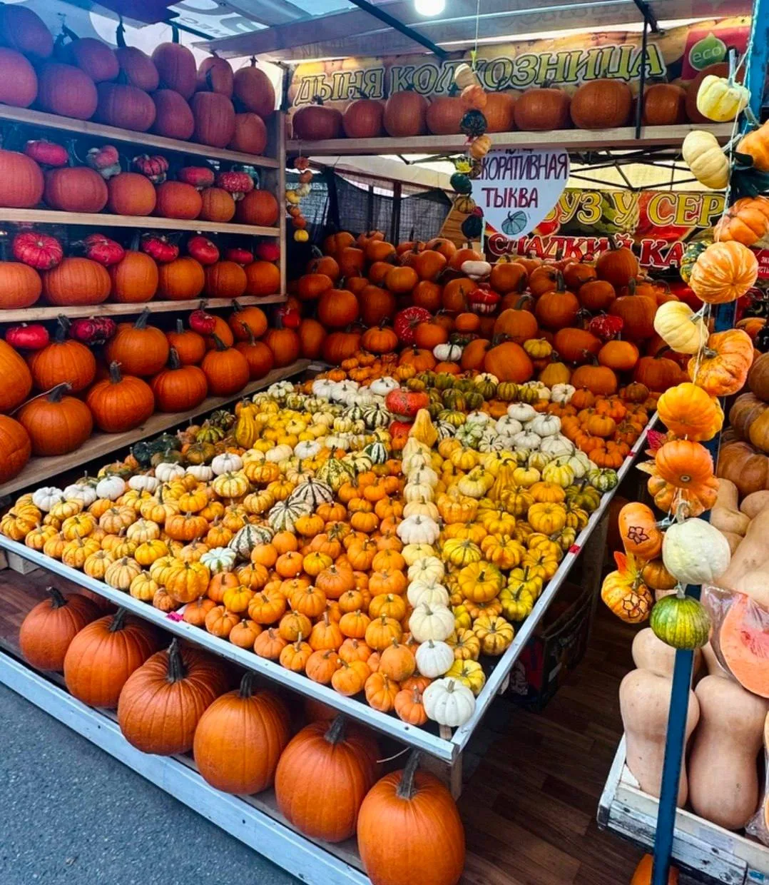 Тухачевский рынок 🎃