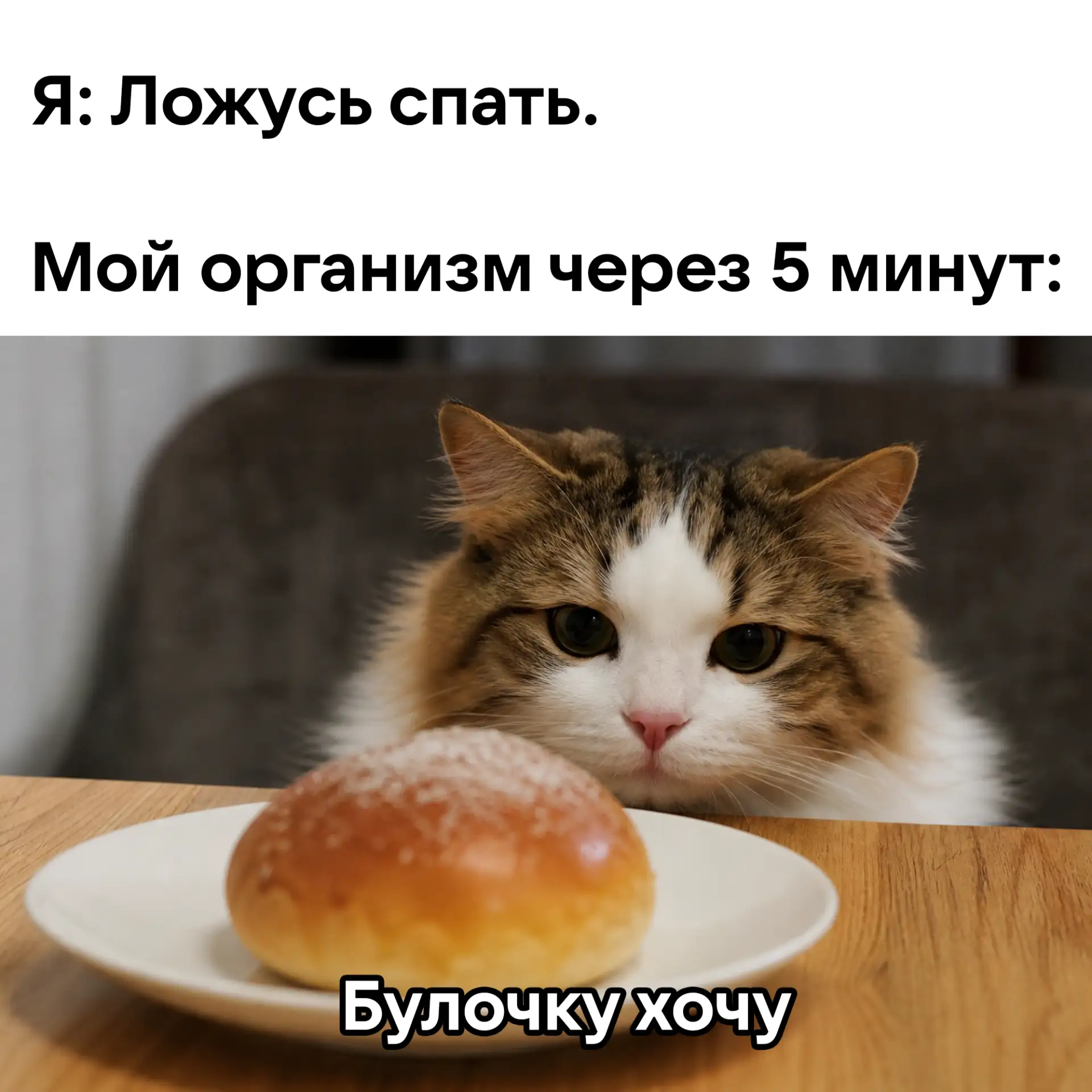 Мои обычные мысли перед сном 😴