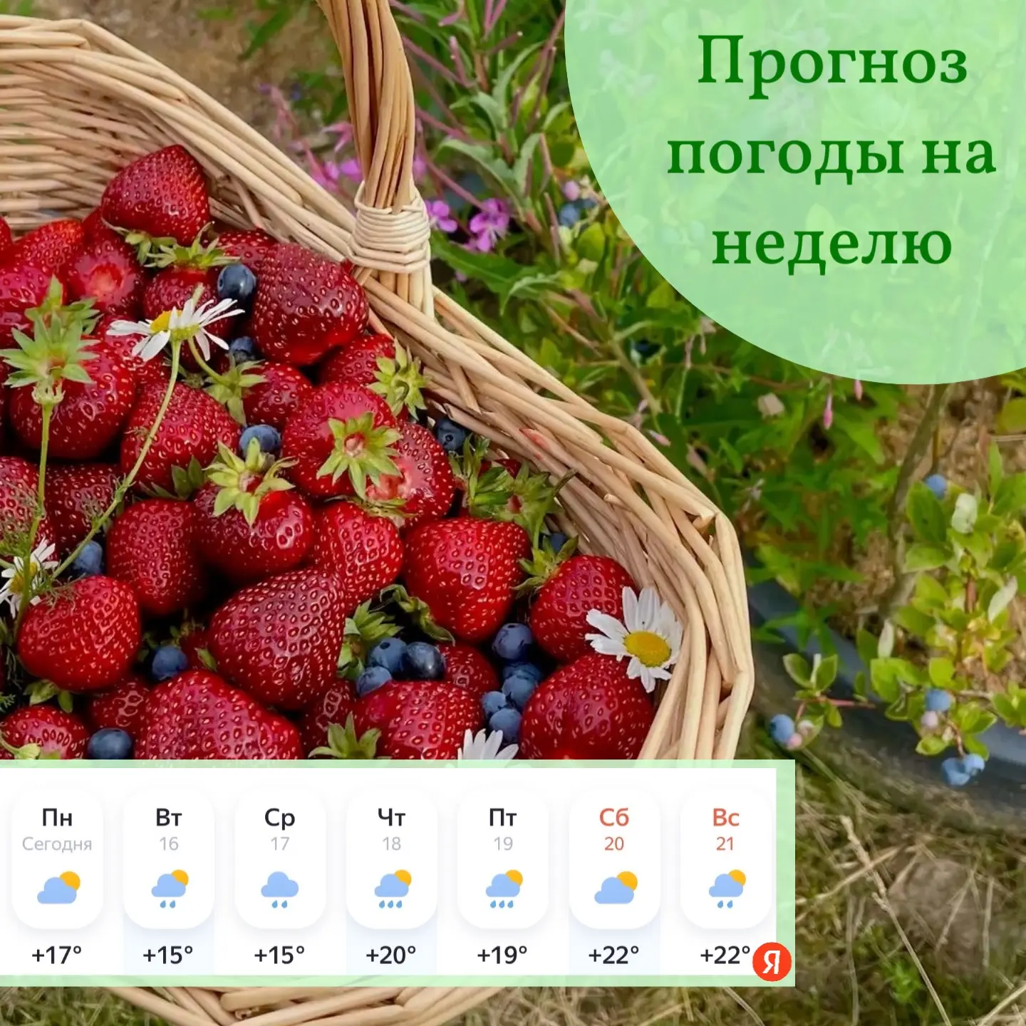 💫 С добрым утром, друзья!

⛅ Желаем, чтобы понедельник был лёгким, а дождливая погода не стала прич
