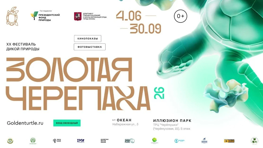 🌿 5 и 6 сентября — новые тематические дни «Золотой Черепахи» во Владивостоке!