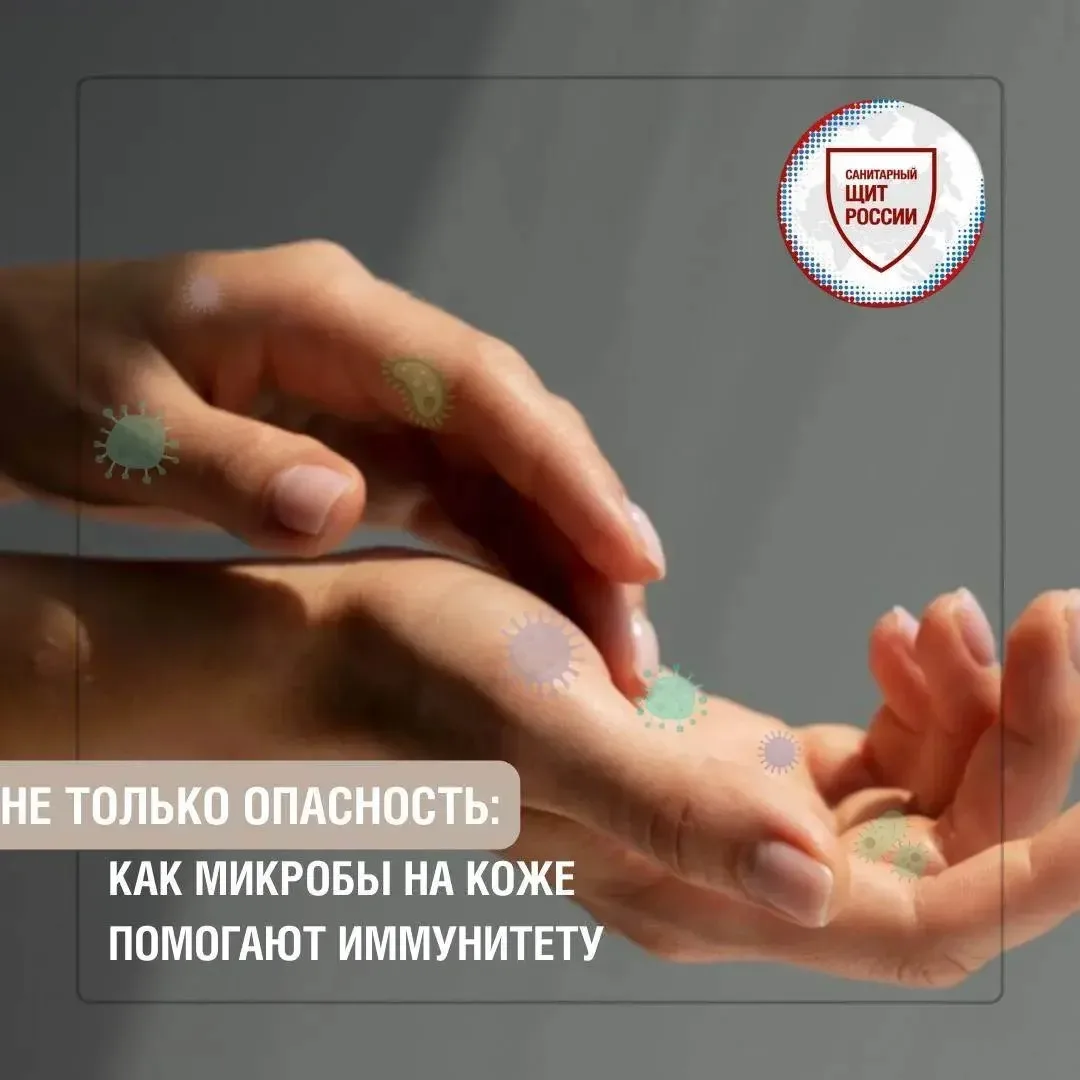 На коже человека обитает огромное количество микроорганизмов🦠 – кожный микробиом, сост...