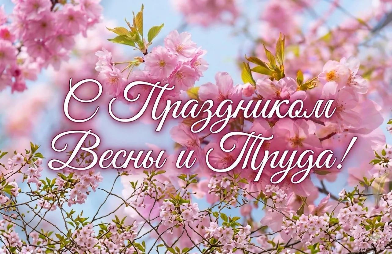 Дорогие жители Камешковского муниципального округа!  От всей души поздравляем вас с наступающим Перв