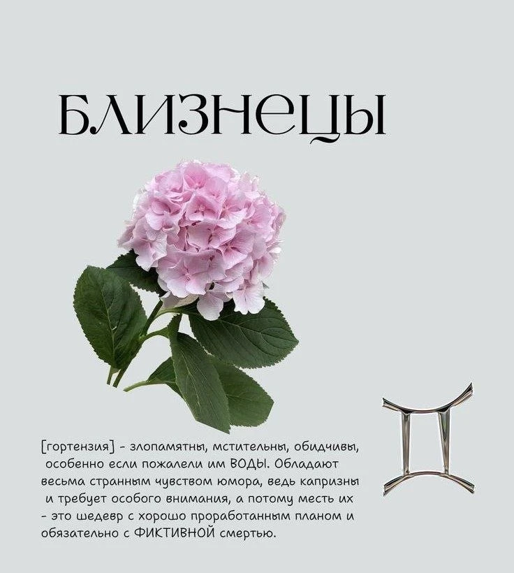 Думаете, ваш характер определяет только знак зодиака?🌸

А вот и нет! Всё намного проще — и цветочне