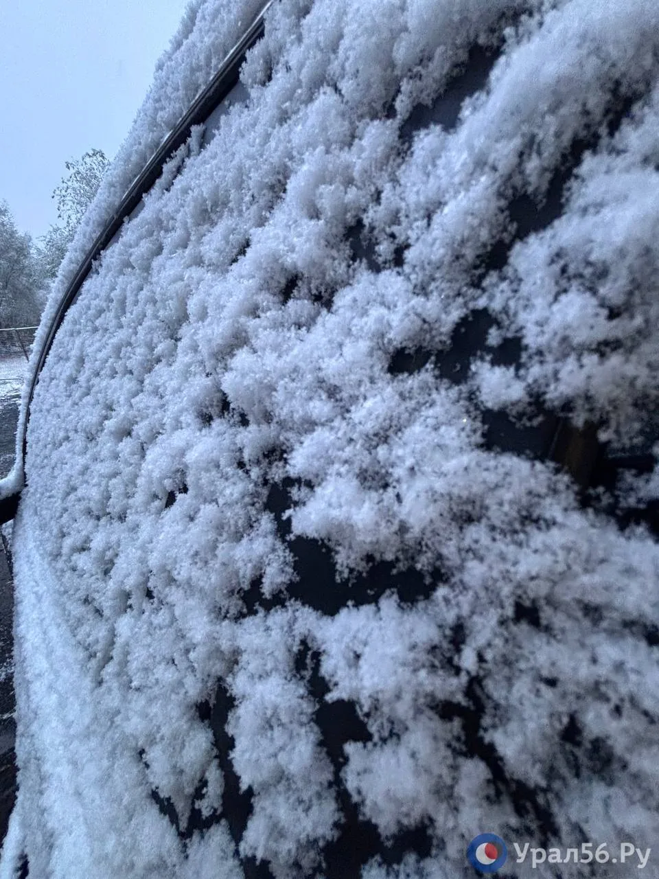 Доброе утро ♥️