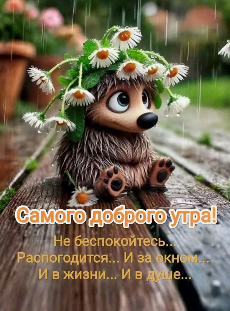 ⛅️ Доброе утро страна! Всем позитивного и доброго дня ❤️   Я - Пенсионер✅