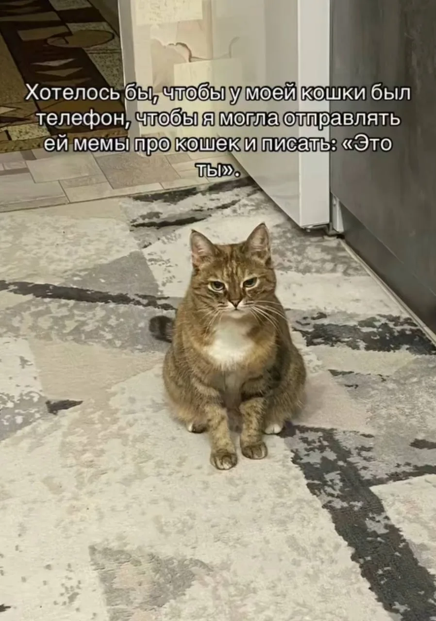 Мемы каждый день • Подписаться