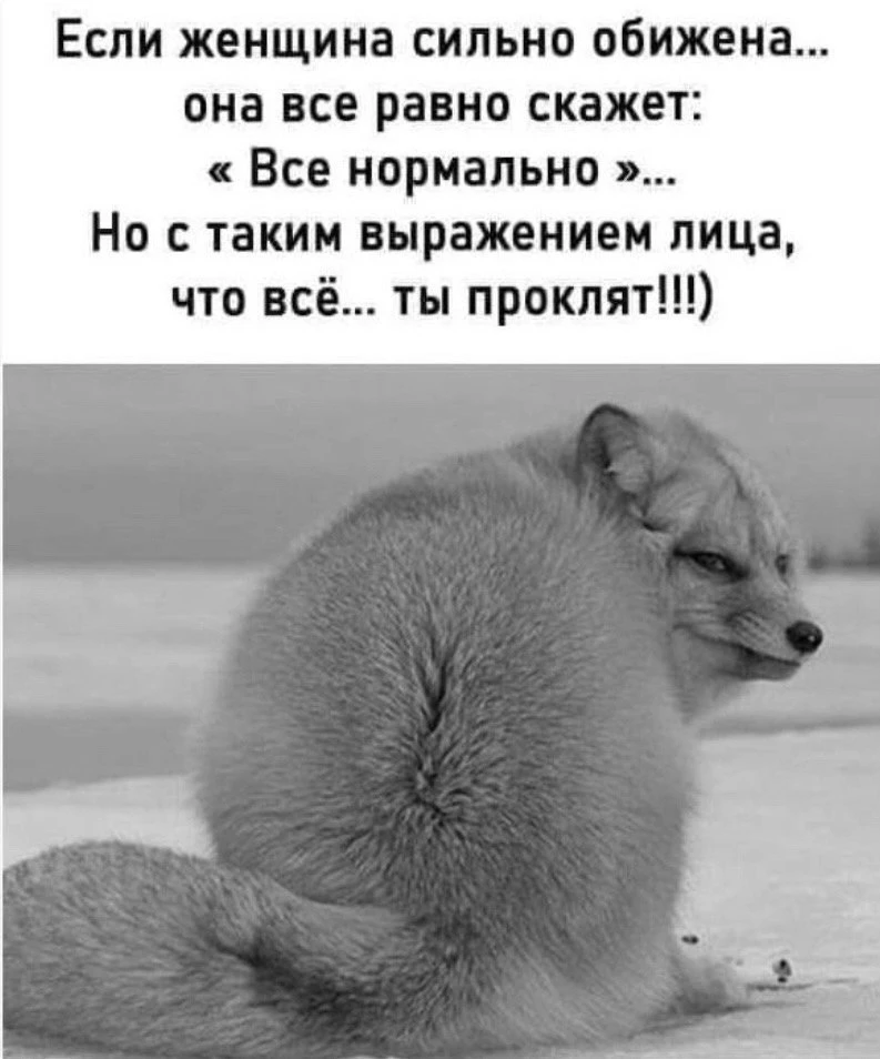 🇷🇺  Мы в МАХ : https://max.ru/public217683068
