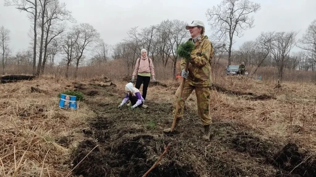 Посадка пяти тысяч саженцев кедра корейского прошла в национальном парке «Земля леопарда» 🌱  Необход