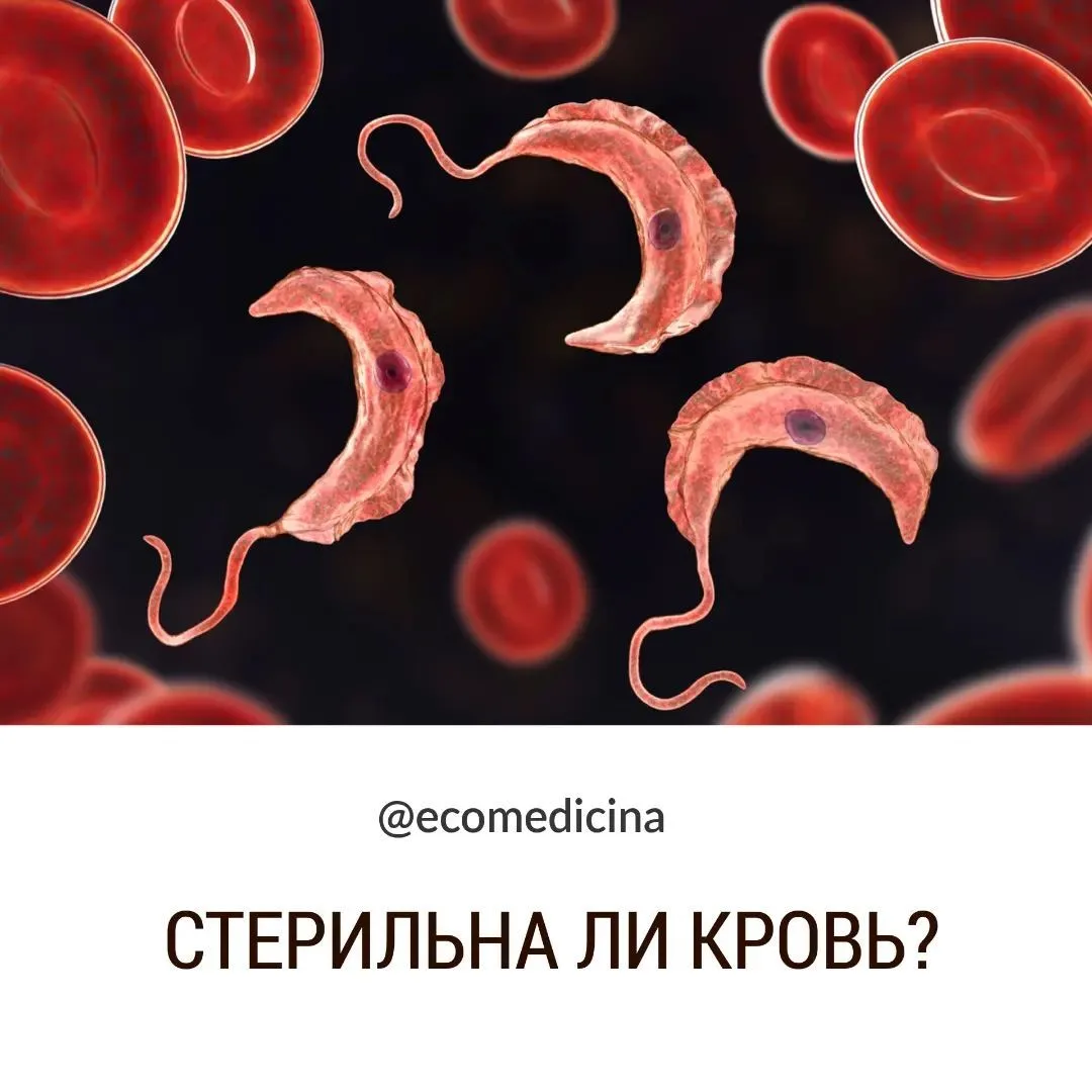 🤯КАК И КОМУ ЭТО НАДО, ДО СИХ ПОР В ПОЛШЁПОТА ГОВОРИТЬ О ТОМ, ЧТО КРОВЬ ЧЕЛОВЕКА СТЕРИЛ...