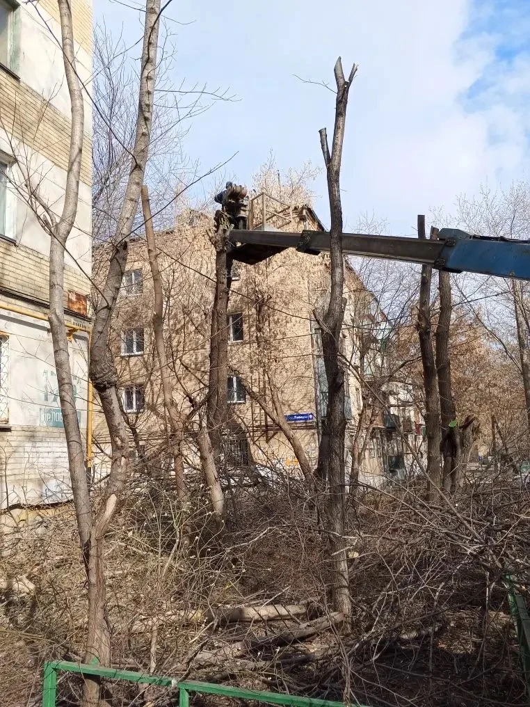 Мы получили много заявок на опиловку деревьев дворовой территории 🍃