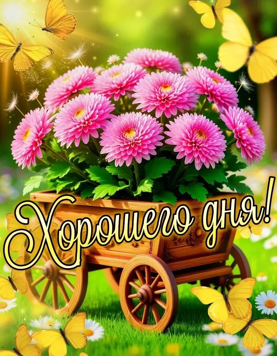 🌺ОТКРЫТКИ И ПОЗДРАВЛЕНИЯ 🌺
👉Наш канал в MAX👈