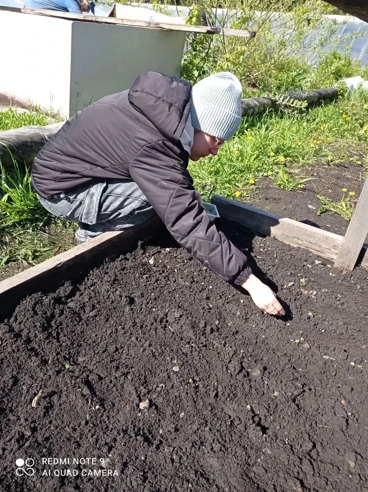 Помощники, которые знают толк в земле 🌱