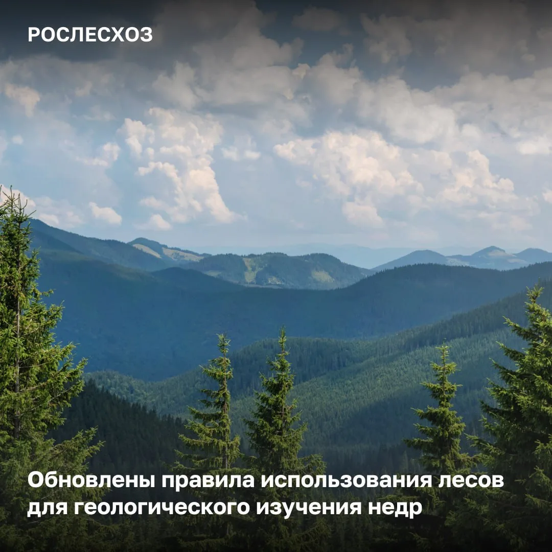 📆 С 1 сентября 2026 года вступают в силу новые правила использования лесов для геологи...