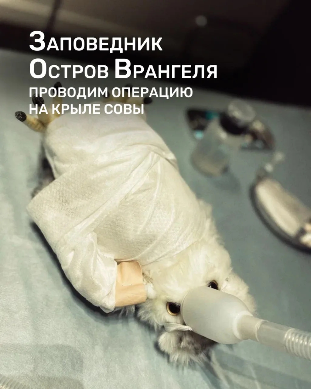 Третье место в котором мы побываем с ребятами это: