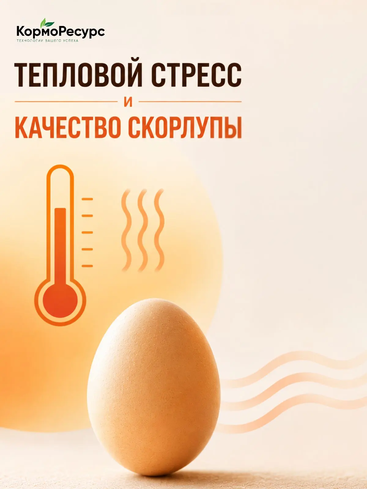 🥚 Почему тепловой стресс напрямую влияет на качество скорлупы?