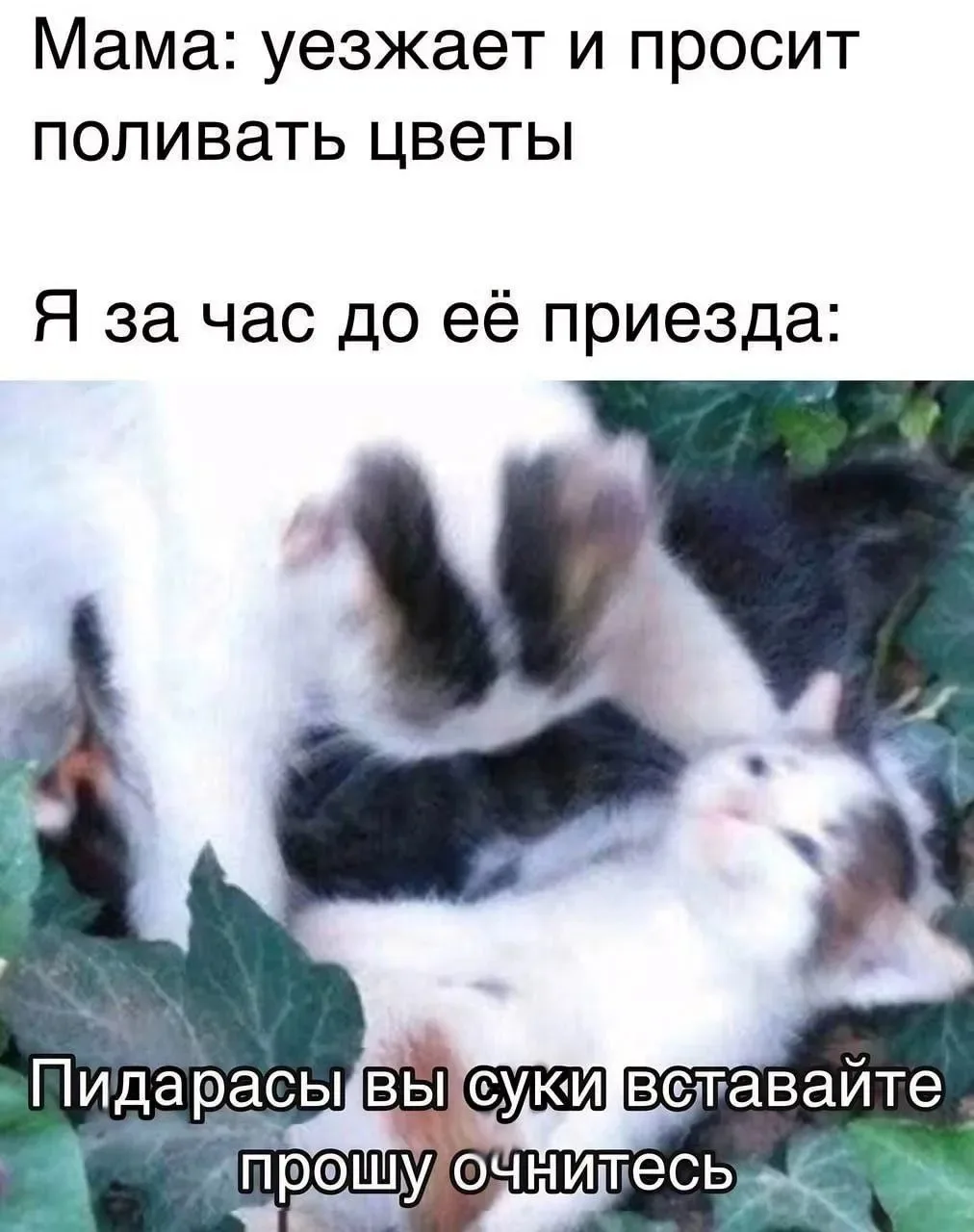 Изображение 9 к публикации «Полезный Парфун»