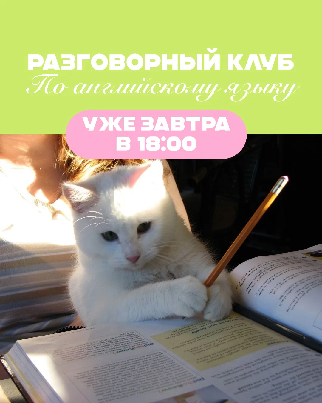 Повышаем уровень английского в «ДОМе»💡