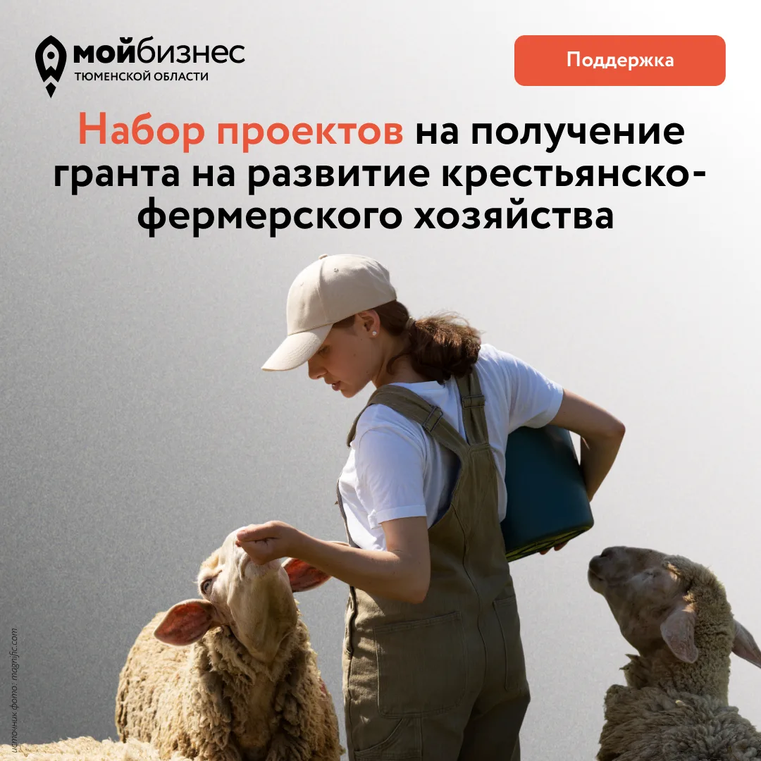 Открыт набор проектов на получение гранта на развитие КФХ❗

Если вы ведете бизнес в сельском хозяйст