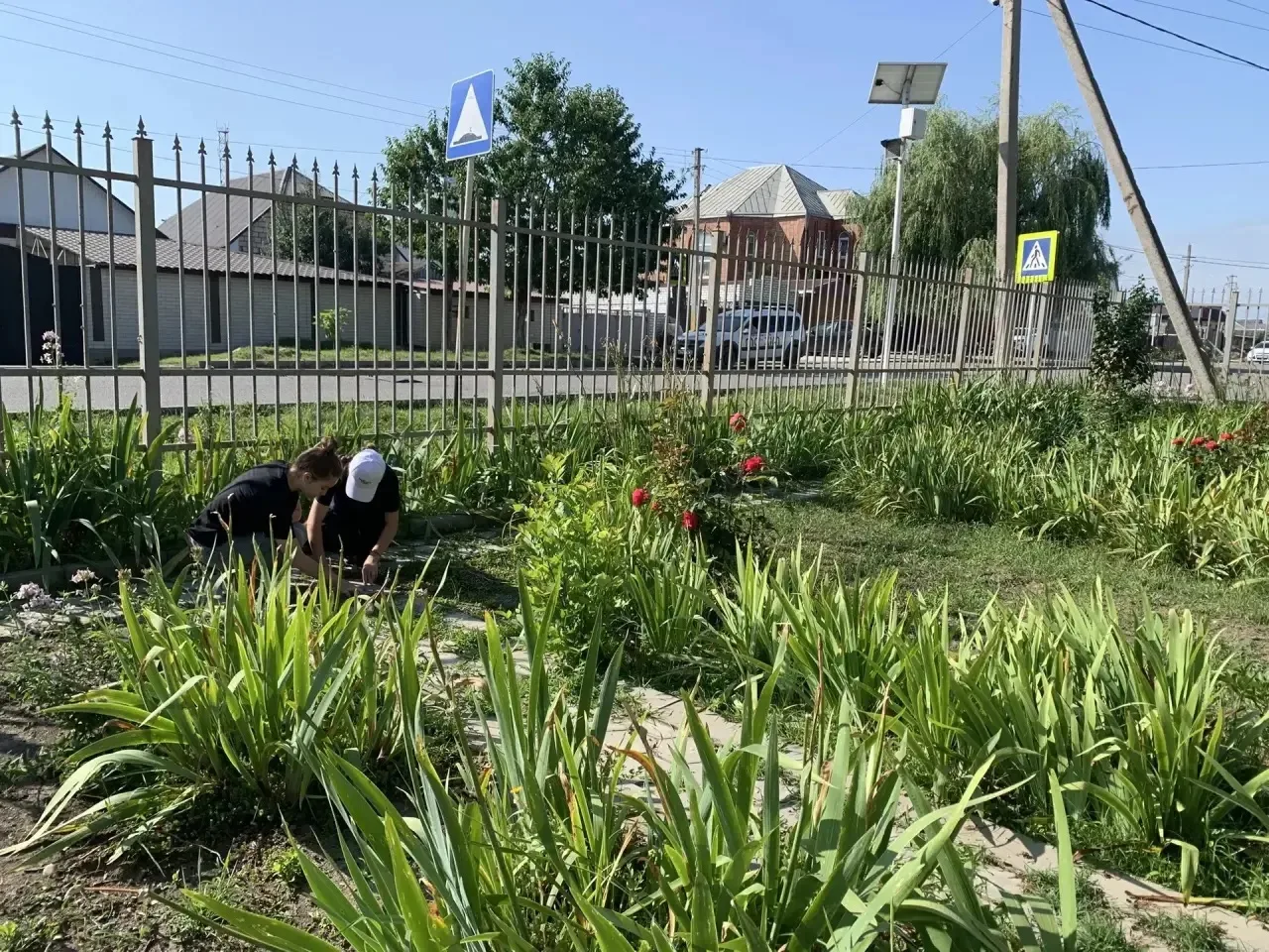 Трудовые будни продолжаются: Летняя практика в разгаре!

Летом — не только отдых, но и время полезны