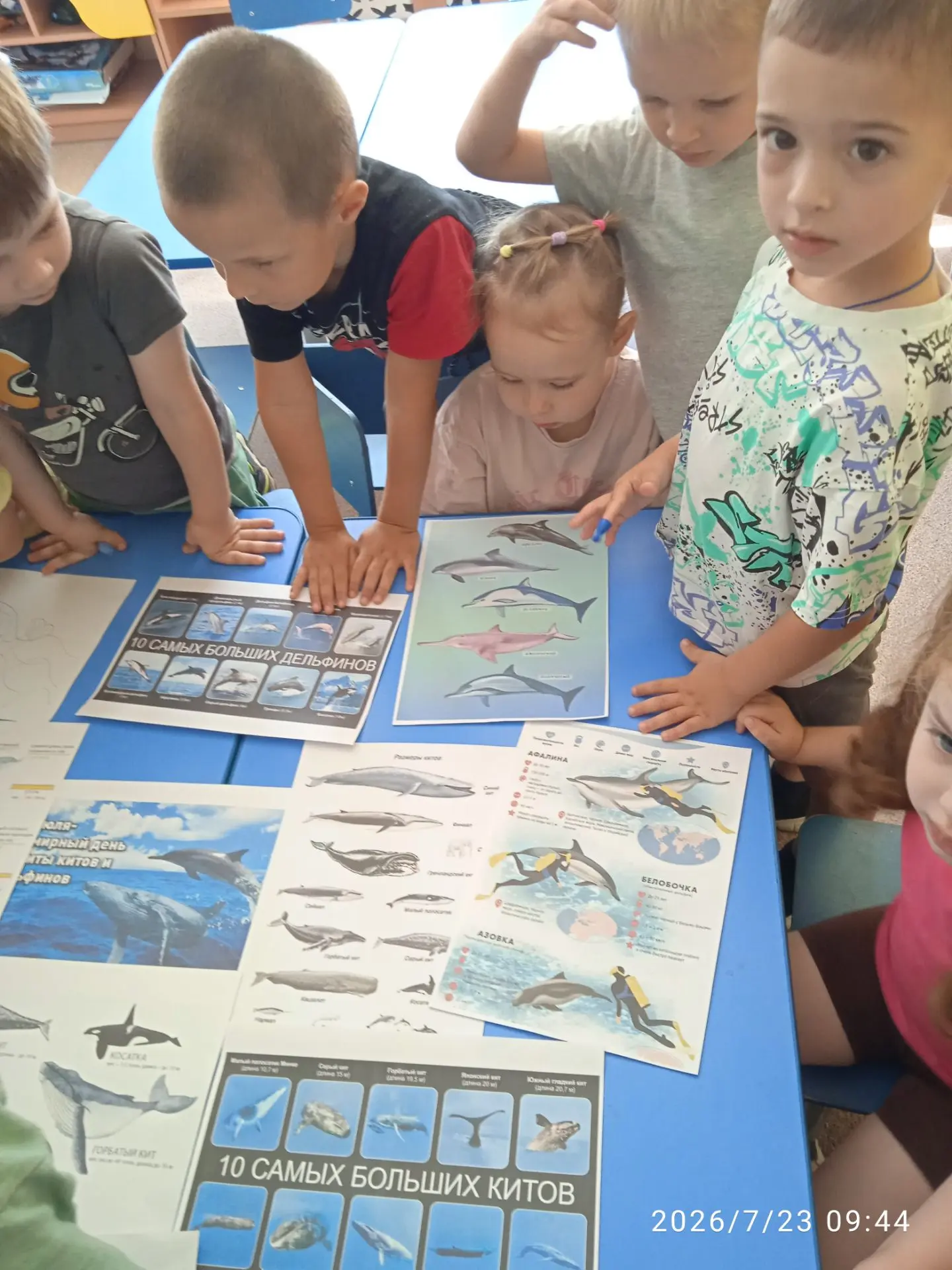 В группе среднего дошкольного возраста сегодня ребята слушали о китах и дельфинах, потому что сегодн