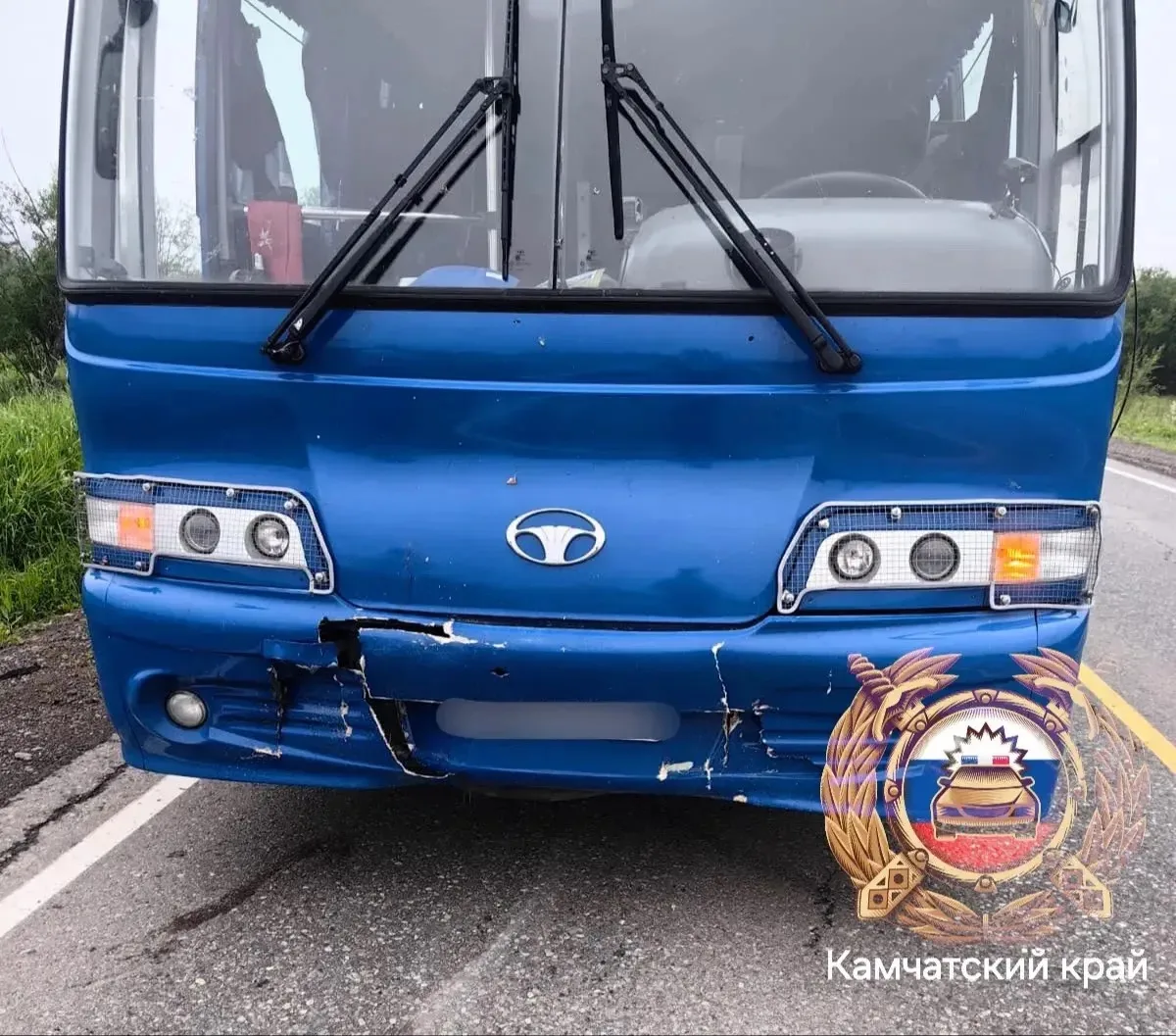📍 Подробности ДТП со сбитым насмерть медведем: