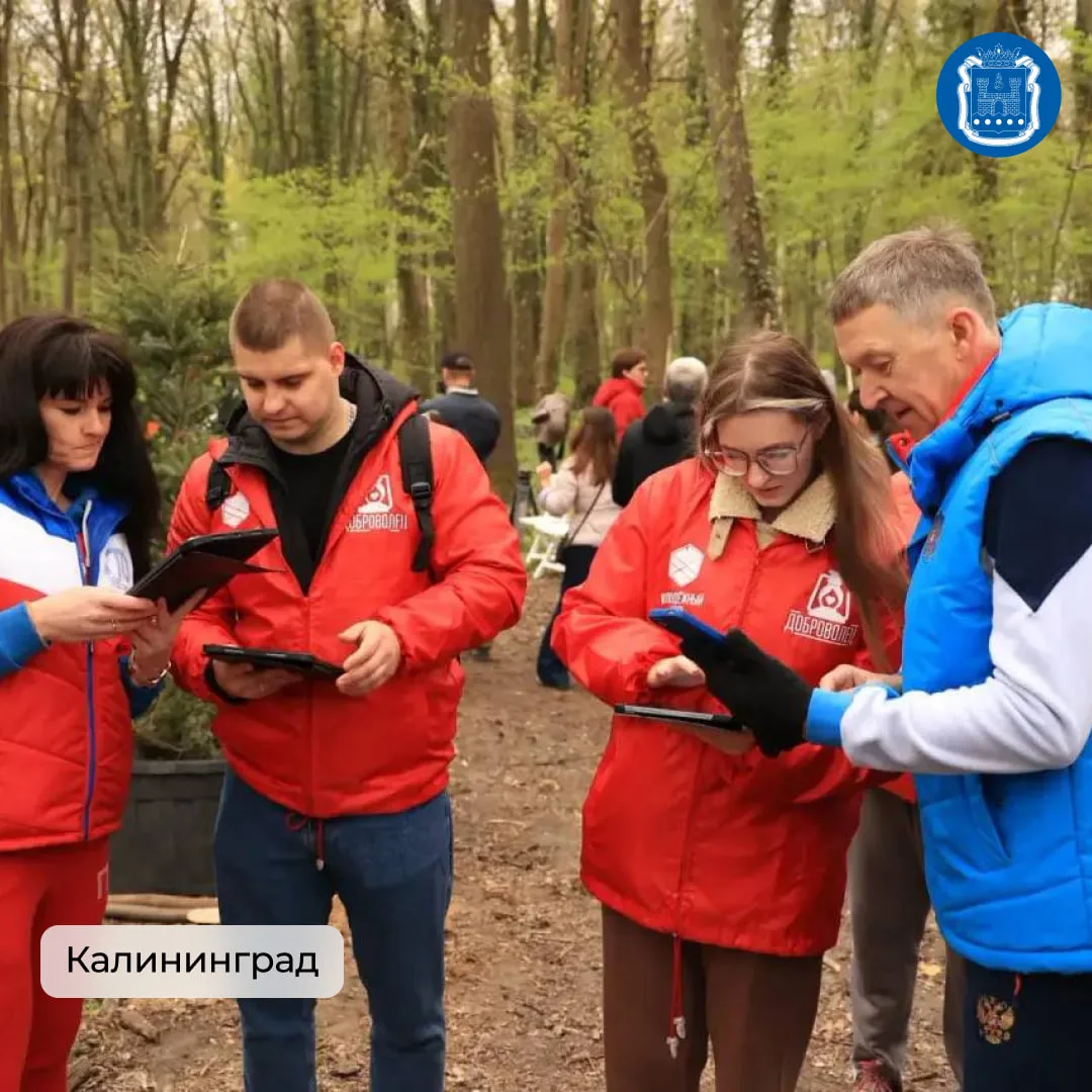 Во всех муниципалитетах области вновь прошли субботники.  Больше семи тысяч жителей убирались в парк