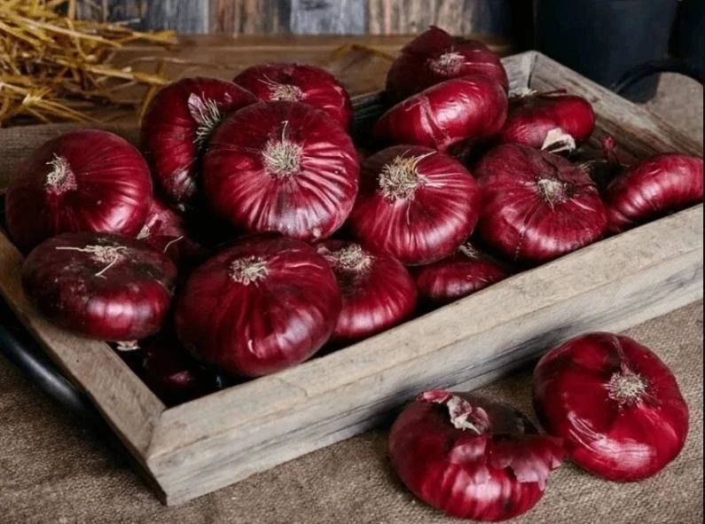 Красный лук: секретное оружие против старения и рака🧅

Действительно ли красный лук полезнее белого