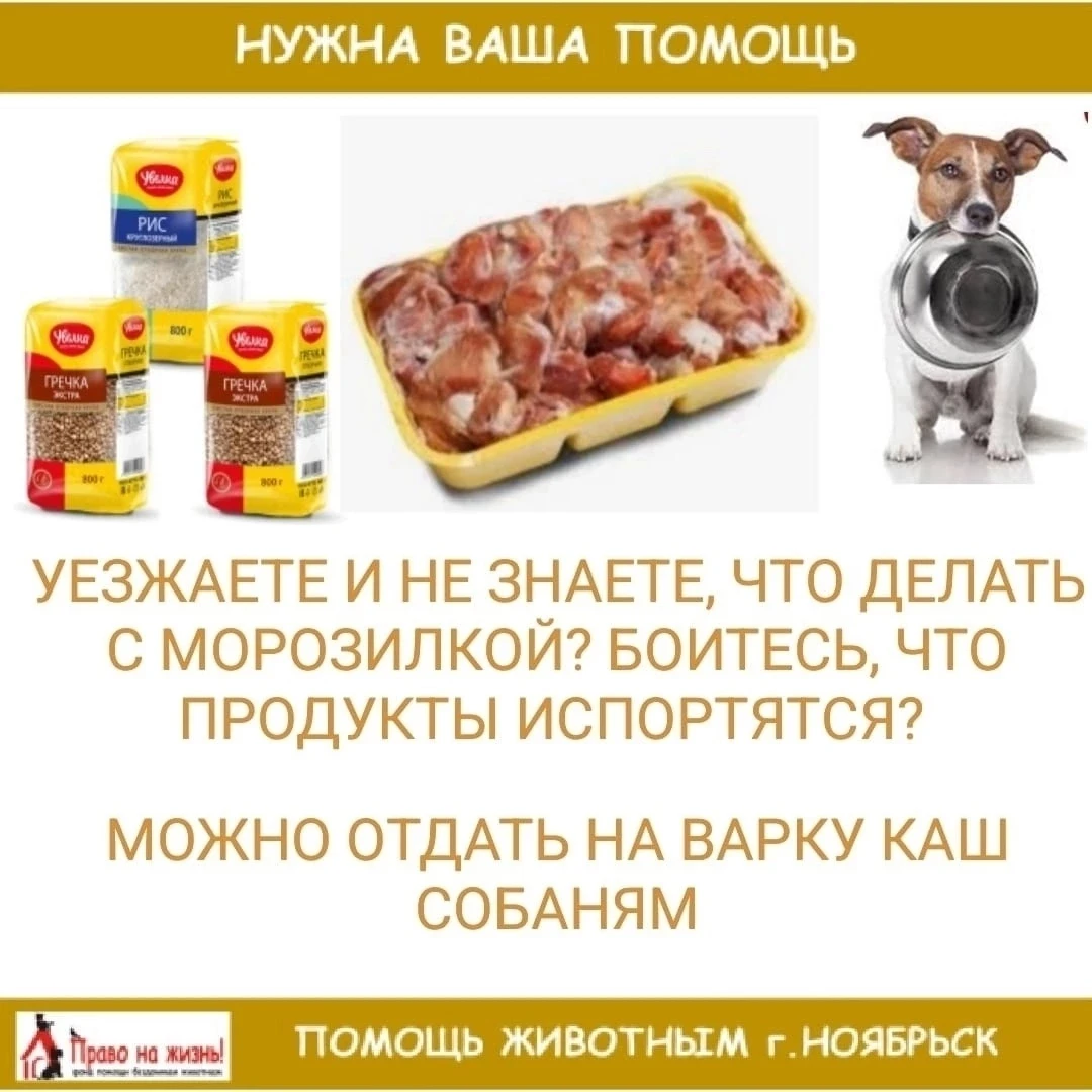Уезжаете и жалко выбрасывать продукты? Вдруг холодильник разморозится или в крупах жучки заведутся? 