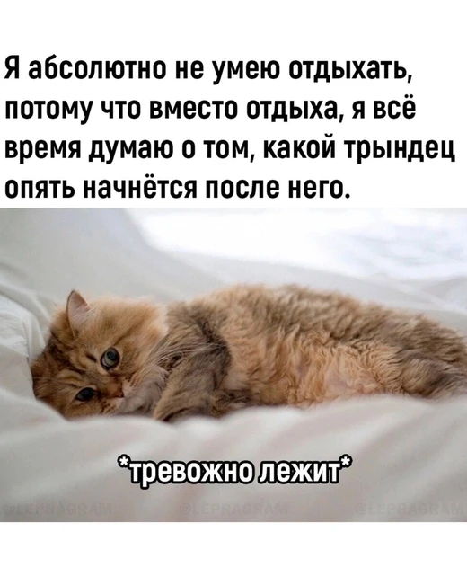 хороших выходных 😺

 #психология  #юмор