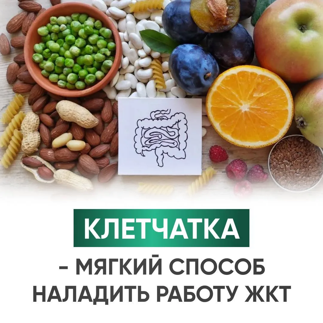 Мини-гайд по клетчатке 
в продолжение поста выше 👆 

Собрала для вас карусель, где простыми словами