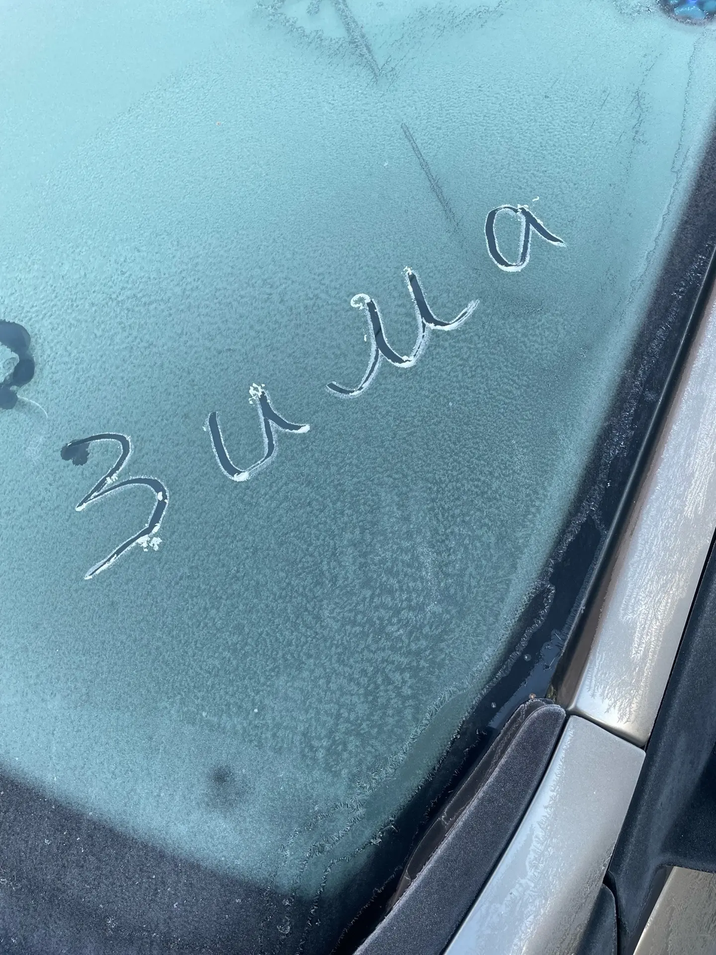 Первые морозы❄
