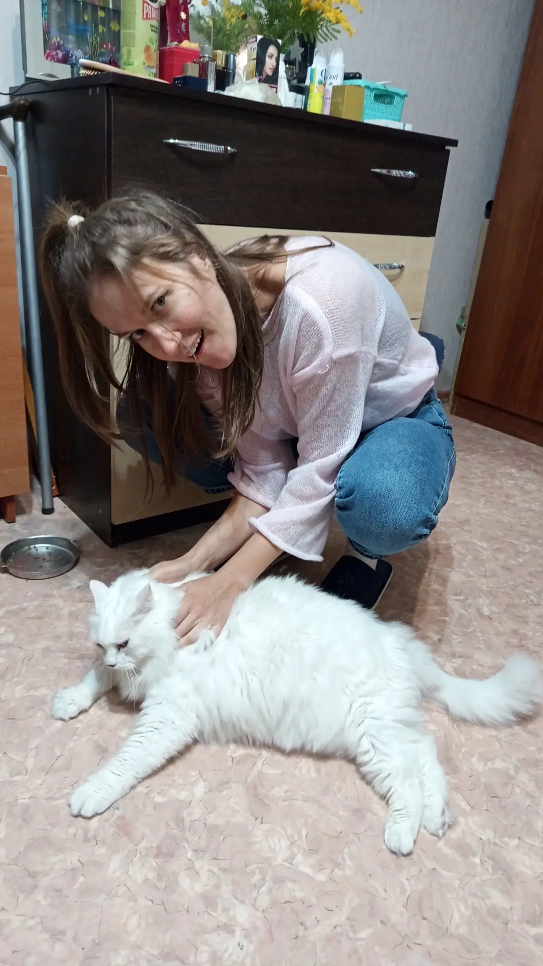Знакомьтесь, это жирное создание - это кот моей мамы, зовут его Сёма!  Он уже пенсионер...