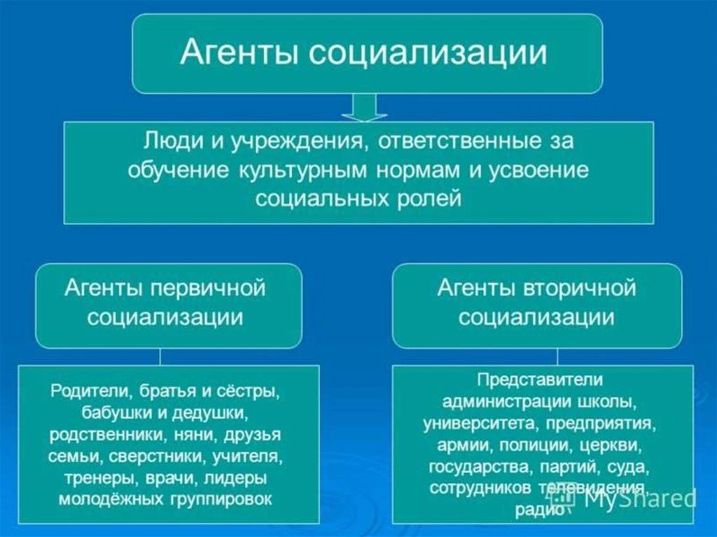 Друзья, спасибо вам за комментарии! Мы вдохновились и решили сказать еще несколько слов...