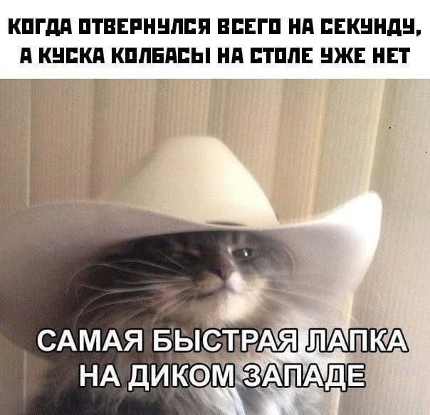 Как же он крут 😎
