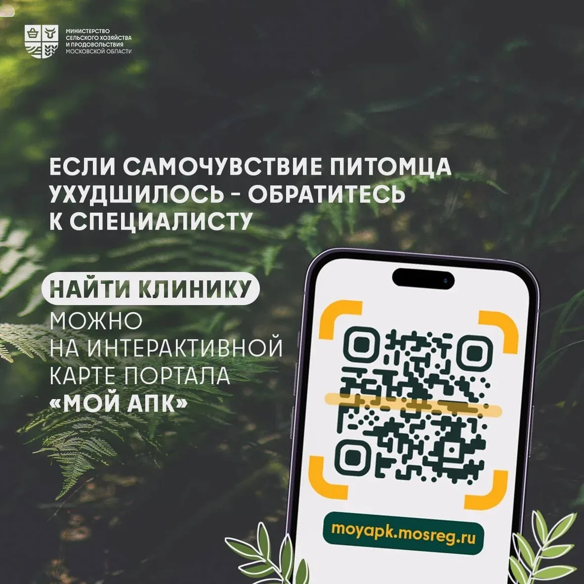 🦮 Отдых с питомцем: как сделать майские праздники безопасными   🐾 Майские праздники – отличный повод