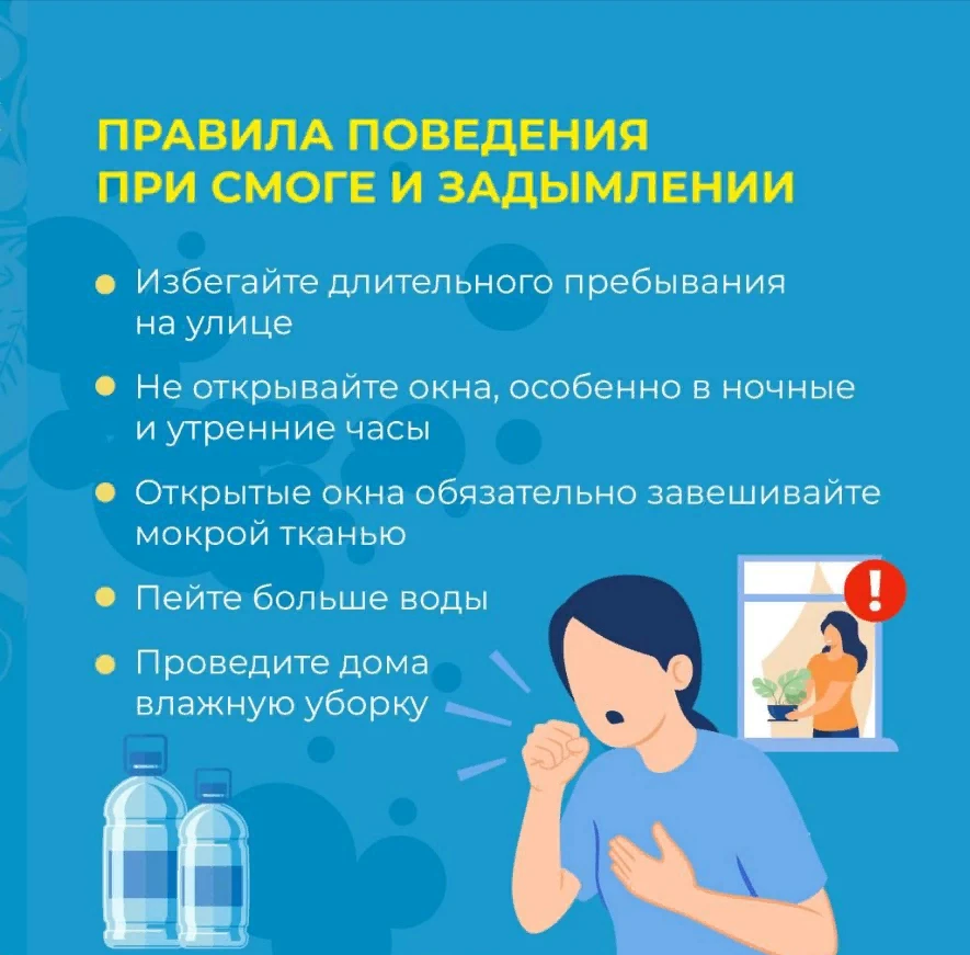 ЗАДЫМЛЕНИЕ ОТ ЛЕСНЫХ ПОЖАРОВ