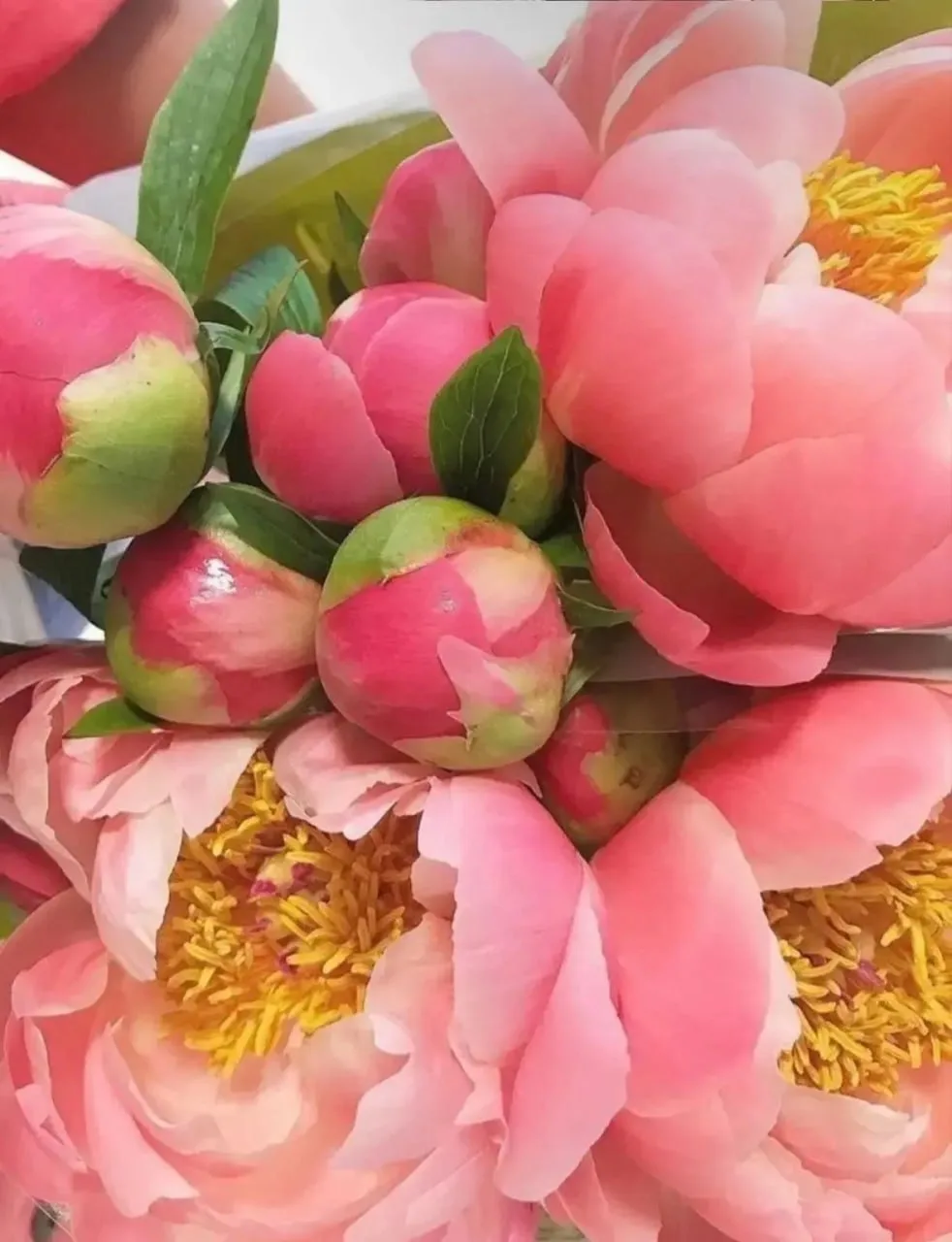 🌸 1 новый урок и 365 дней доступа!