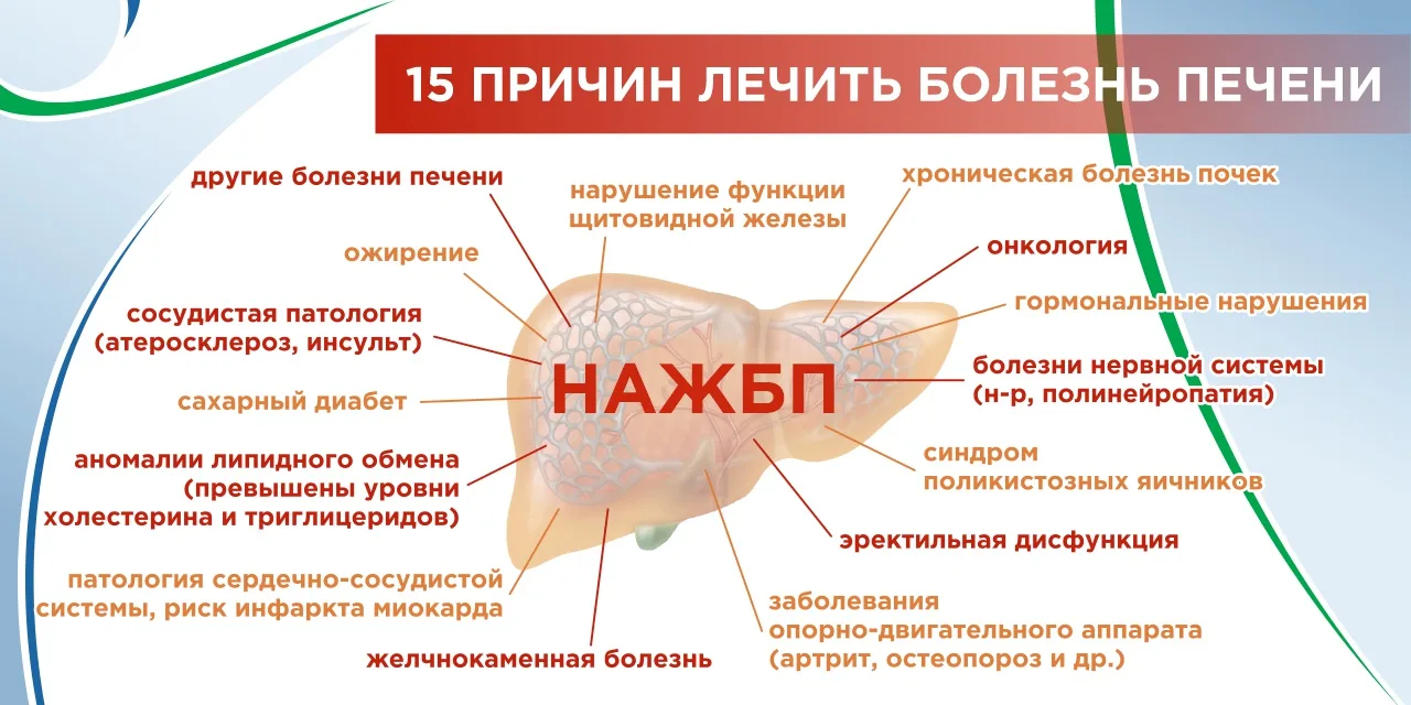 ➡️Профилактика заболеваний печени

С целью увеличения ожидаемой продолжительности жизни за счет повы